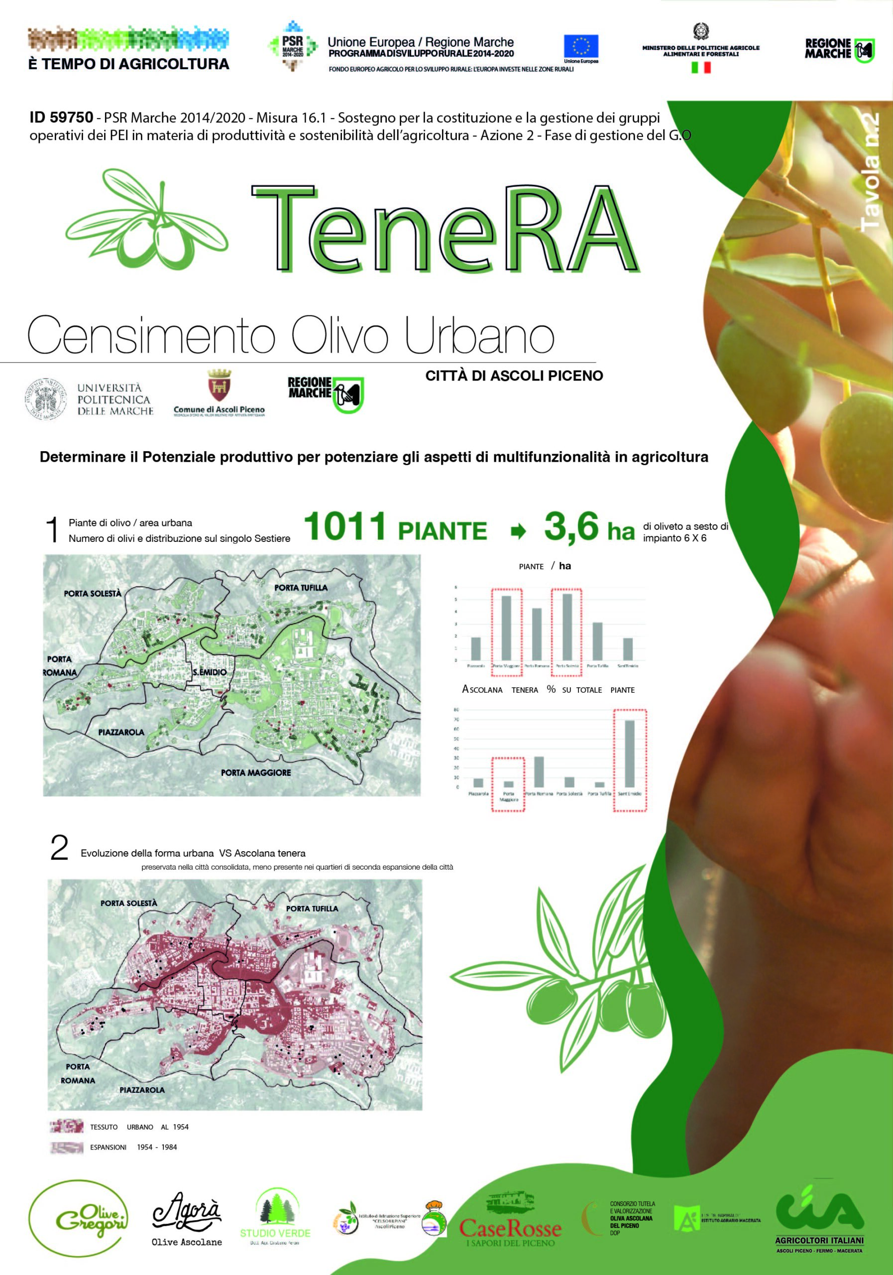 Tavola 2 - Dati Quantitativi Censimento